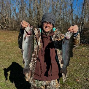 Image post by @annathearcher on Instagram