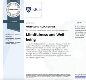 Image post by @moealichehade on Instagram