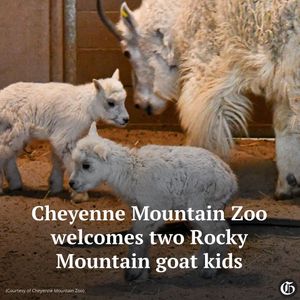 Image post by @co_gazette on Instagram