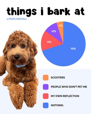 Image post by @tedflixnchill on Instagram