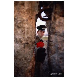 Image post by @gettyimages on Instagram