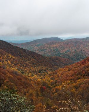 Image post by @wandernorthga on Instagram