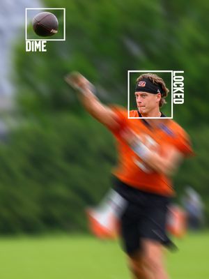 Image post by @bengals on Instagram