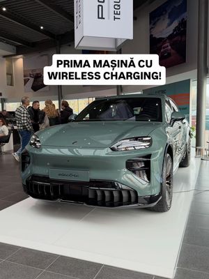 Video post by @masiniculucipopa on TikTok
