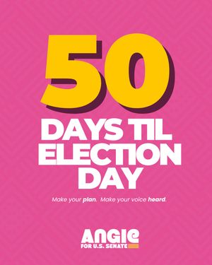 Image post by @angieforfl on Instagram