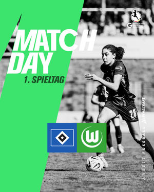 Image post by @vfl.wolfsburg.frauen on Instagram