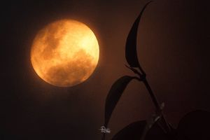 Image post by @ram_matteo on Instagram
