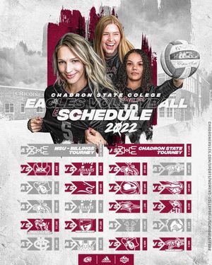 Image post by @CscVolleyball on Twitter