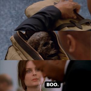 Image post by @boneheadspod on Instagram