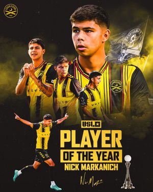 Image post by @Chas_Battery on Twitter