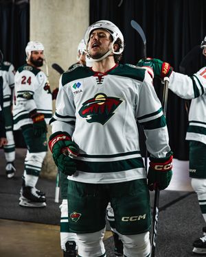 Image post by @minnesotawild on Instagram