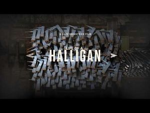 Video post by @safeindustriesofficial on YouTube