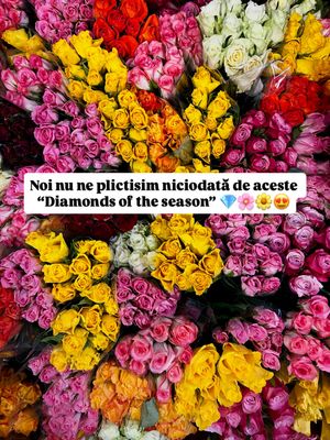 Image post by @lidlromania on Instagram