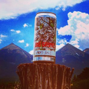 Image post by @biggrovebrewery on Instagram
