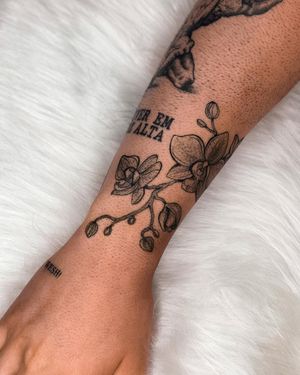 Image post by @tamarafalcomer on Instagram