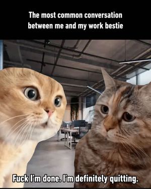 Image post by @9gag on Instagram