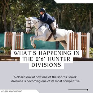 Image post by @theplaidhorsemag on Instagram
