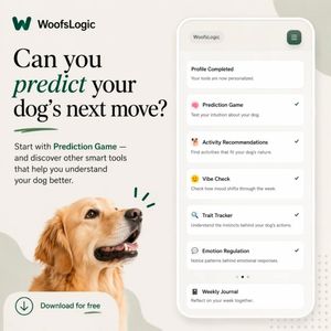 Image post by @woofs.logic.app on Instagram