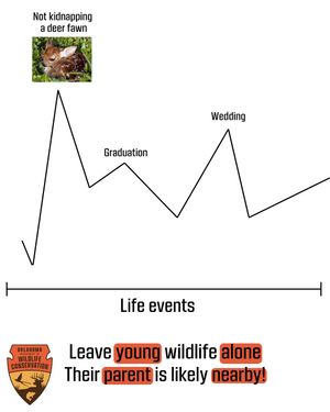 Image post by @okwildlifedept on Instagram