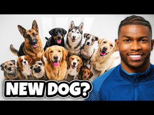 Video post by @Shilo Sanders on YouTube