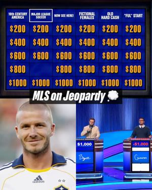 Video post by @mls on TikTok