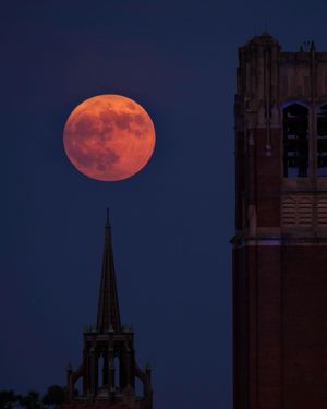 Image post by @uflorida on Instagram