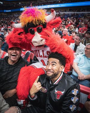 Image post by @bennythebull on Instagram