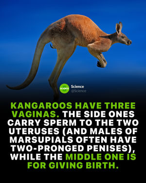 Image post by @science on Instagram