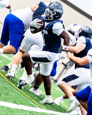 Image post by @ithacabomberfb on Instagram