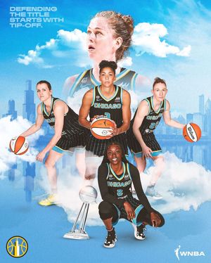 Image post by @wnba on Instagram
