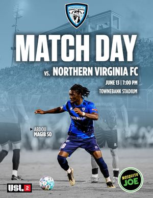 Image post by @lionsbridgefc on Instagram