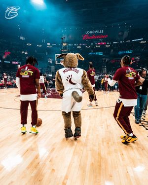 Image post by @cavs on Twitter