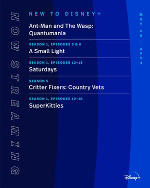 Image post by @DisneyPlus on Twitter