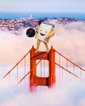 Image post by @poptartsus on Instagram