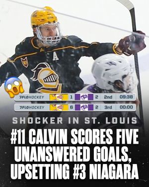 Image post by @hockeyhousepod on Instagram