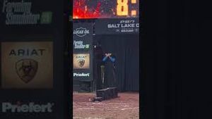 Video post by @pbr on YouTube