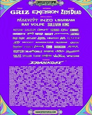 Image post by @dancefestopia on Instagram