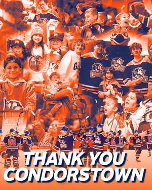 Image post by @condors on Instagram