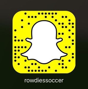 Image post by @tampabayrowdies on Instagram
