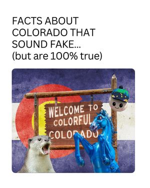Image post by @govofco on Instagram