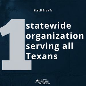 Image post by @txextension on Instagram