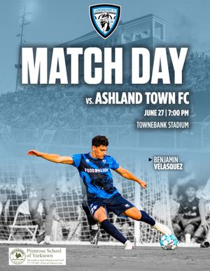 Image post by @lionsbridgefc on Instagram