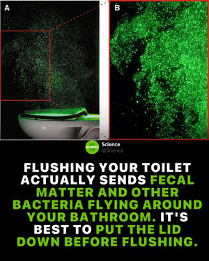 Image post by @science on Instagram