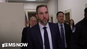 Video post by @msnbc on YouTube