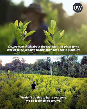 Video post by @unreportedworld on TikTok