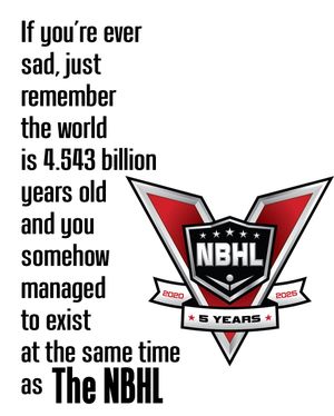 Image post by @nationalballhockeyleague on Instagram
