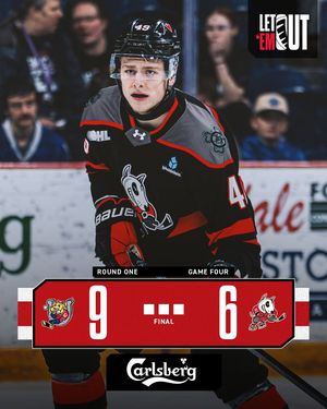 Image post by @ohlicedogs on Instagram