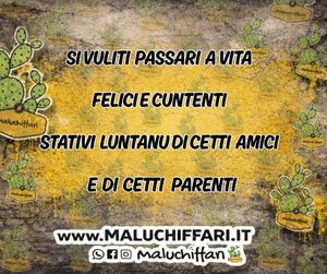 Image post by @maluchiffari on Instagram