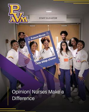 Image post by @pvamu on Instagram