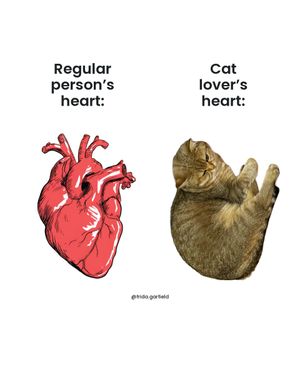 Image post by @frida.garfield on Instagram